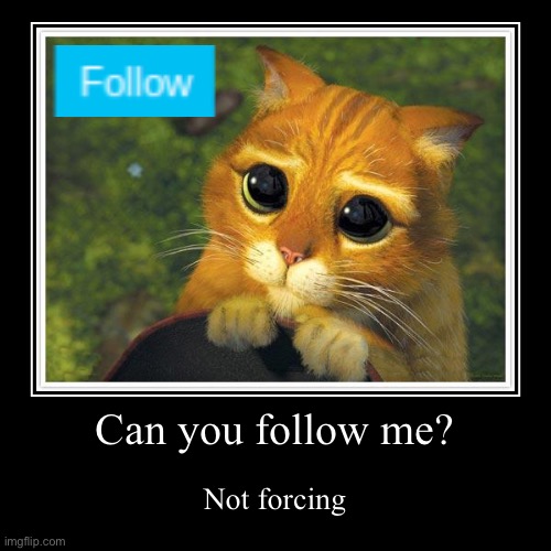 Not forcing | Can you follow me? | Not forcing | image tagged in funny,demotivationals,follow,cats | made w/ Imgflip demotivational maker
