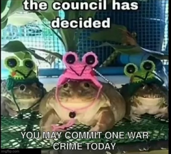 Phrog council | image tagged in phrog council | made w/ Imgflip meme maker