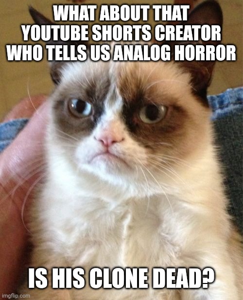 Grumpy Cat Meme | WHAT ABOUT THAT YOUTUBE SHORTS CREATOR WHO TELLS US ANALOG HORROR IS HIS CLONE DEAD? | image tagged in memes,grumpy cat | made w/ Imgflip meme maker