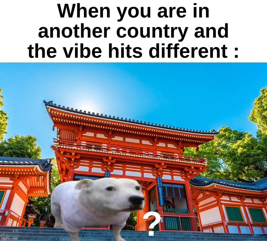 Who experienced this | When you are in another country and the vibe hits different :; ? | image tagged in memes,funny,relatable,traveling,country,front page plz | made w/ Imgflip meme maker
