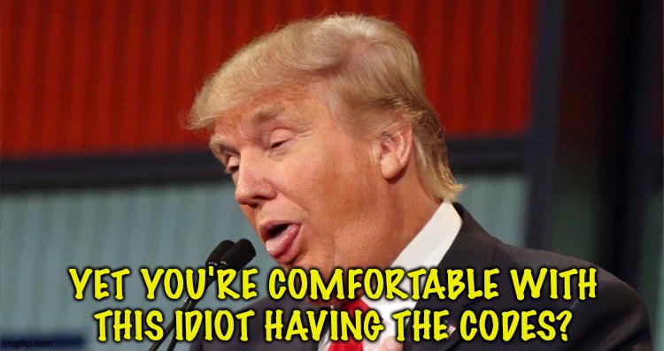 Trump stupid face mocking reporter | YET YOU'RE COMFORTABLE WITH THIS IDIOT HAVING THE CODES? | image tagged in trump stupid face mocking reporter | made w/ Imgflip meme maker