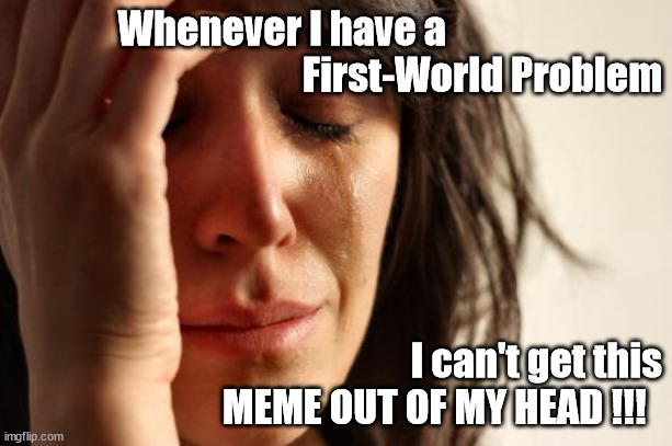 Self-referential echoes | Whenever I have a                            
First-World Problem; I can't get this MEME OUT OF MY HEAD !!! | image tagged in memes,first world problems,self-referential | made w/ Imgflip meme maker