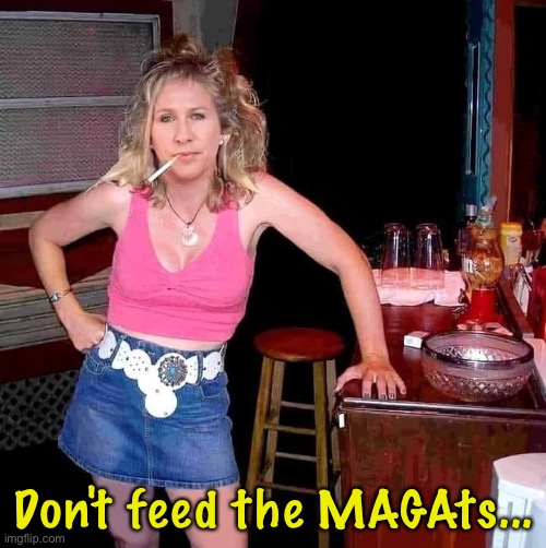 Marjorie Taylor Greene MTG on her day off hillbilly redneck | Don't feed the MAGAts... | image tagged in marjorie taylor greene mtg on her day off hillbilly redneck | made w/ Imgflip meme maker