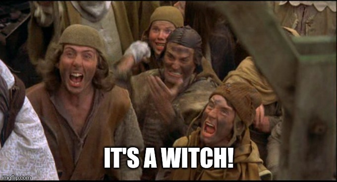 Monty Python witch | IT'S A WITCH! | image tagged in monty python witch | made w/ Imgflip meme maker