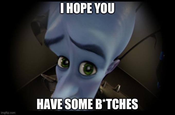 A good message who wanted b*itches | I HOPE YOU; HAVE SOME B*TCHES | image tagged in no b es | made w/ Imgflip meme maker