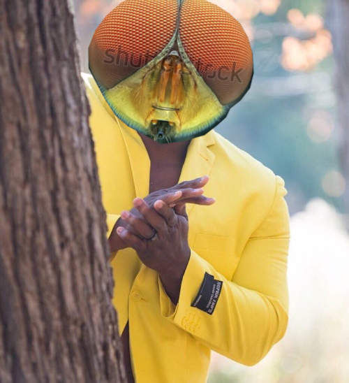 Black guy with fly head hiding behind tree Blank Meme Template