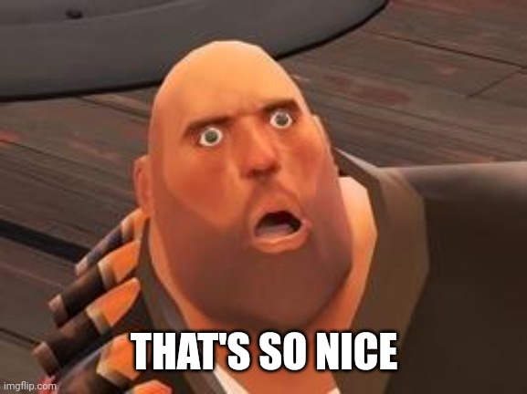 TF2 Heavy | THAT'S SO NICE | image tagged in tf2 heavy | made w/ Imgflip meme maker