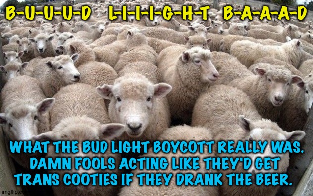 sheeple | B-U-U-U-D    L-I-I-I-G-H-T   B-A-A-A-D; WHAT THE BUD LIGHT BOYCOTT REALLY WAS.
DAMN FOOLS ACTING LIKE THEY'D GET 
TRANS COOTIES IF THEY DRANK THE BEER. | image tagged in sheeple | made w/ Imgflip meme maker