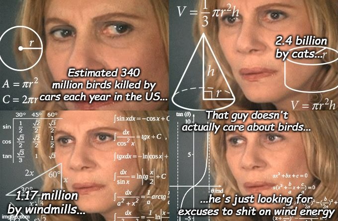 Calculating meme | Estimated 340 million birds killed by cars each year in the US... 2.4 billion by cats... 1.17 million by windmills... That guy doesn't actua | image tagged in calculating meme | made w/ Imgflip meme maker