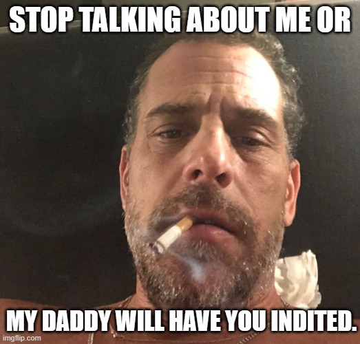 Democrat privilege | STOP TALKING ABOUT ME OR; MY DADDY WILL HAVE YOU INDITED. | image tagged in hunter biden,democrat privilege,biden crime wave,just us system,democrat war on america,you will obey or face jail | made w/ Imgflip meme maker