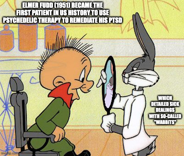 Elmer Fudd | ELMER FUDD (1951) BECAME THE FIRST PATIENT IN US HISTORY TO USE PSYCHEDELIC THERAPY TO REMEDIATE HIS PTSD; WHICH DETAILED SICK DEALINGS WITH SO-CALLED "WABBITS" | image tagged in memes,elmer fudd | made w/ Imgflip meme maker