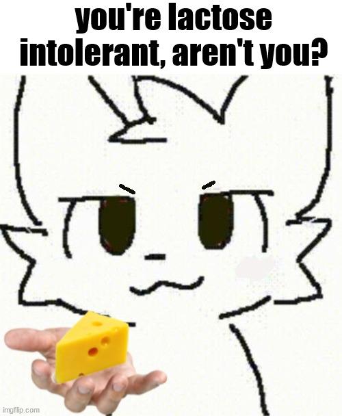you're lactose intolerant, aren't you? | you're lactose intolerant, aren't you? | image tagged in cats,cat,silly,that's just silly cat | made w/ Imgflip meme maker
