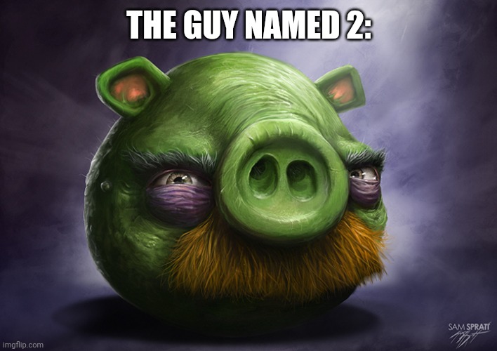 Realistic angry birds | THE GUY NAMED 2: | image tagged in realistic angry birds | made w/ Imgflip meme maker