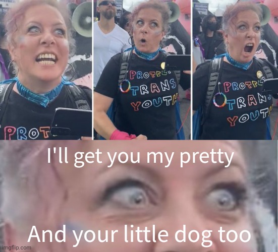 Kids need to be protected from this lady. | I'll get you my pretty; And your little dog too | image tagged in memes | made w/ Imgflip meme maker