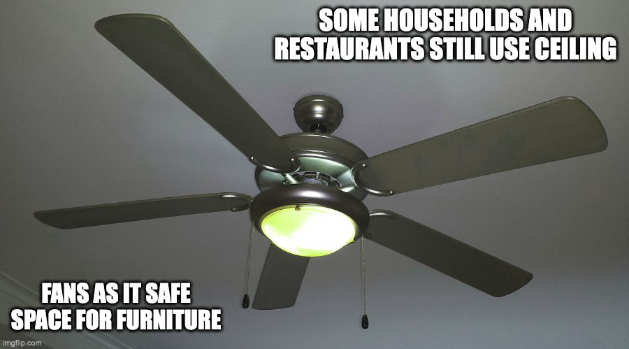 Ceiling Fan With Lamp | SOME HOUSEHOLDS AND RESTAURANTS STILL USE CEILING; FANS AS IT SAFE SPACE FOR FURNITURE | image tagged in fans,memes | made w/ Imgflip meme maker