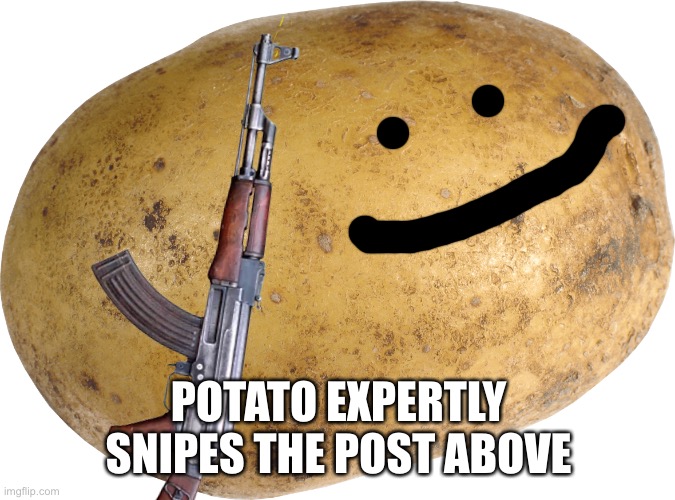 Potato | POTATO EXPERTLY SNIPES THE POST ABOVE | image tagged in potato | made w/ Imgflip meme maker