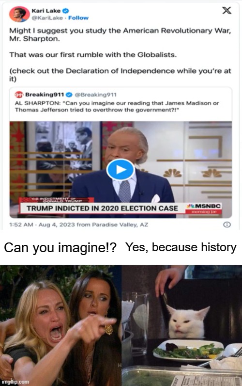 If Only There Were Some Way to Study What Happened Years Ago | Can you imagine!? Yes, because history | image tagged in memes,woman yelling at cat | made w/ Imgflip meme maker
