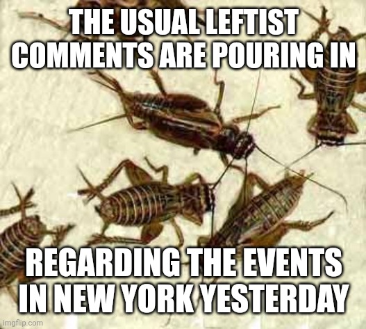 Crickets | THE USUAL LEFTIST COMMENTS ARE POURING IN REGARDING THE EVENTS IN NEW YORK YESTERDAY | image tagged in crickets | made w/ Imgflip meme maker