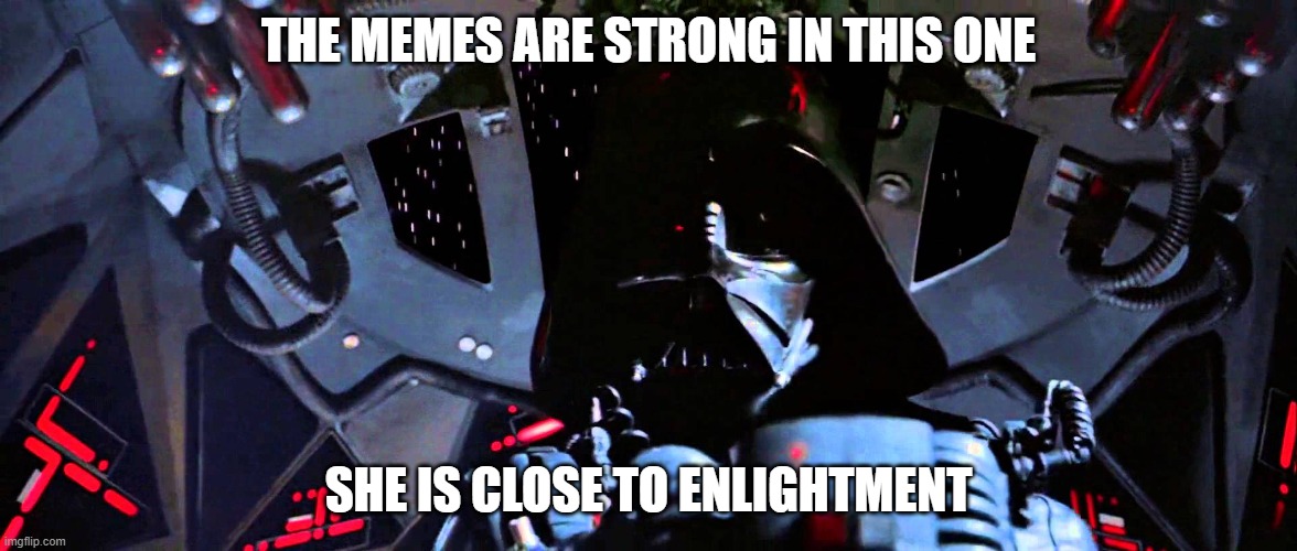 The force is strong with this one | THE MEMES ARE STRONG IN THIS ONE; SHE IS CLOSE TO ENLIGHTMENT | image tagged in the force is strong with this one | made w/ Imgflip meme maker