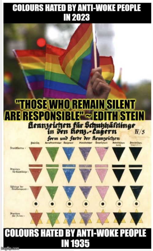 Don't forget and don't stay silent | image tagged in homophobia,nazis,fascism | made w/ Imgflip meme maker