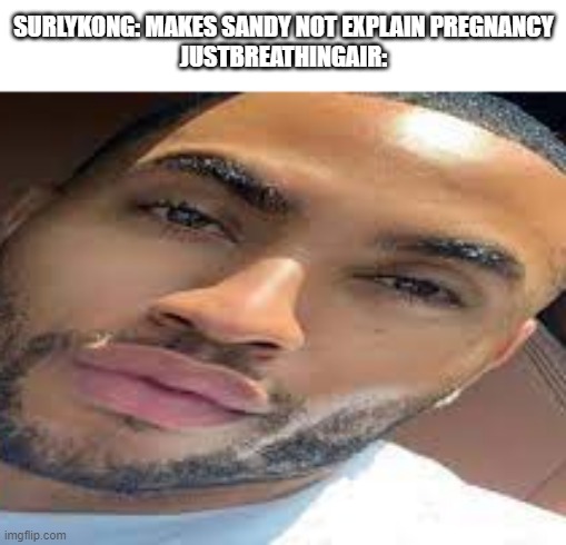 lightskin stare | SURLYKONG: MAKES SANDY NOT EXPLAIN PREGNANCY
JUSTBREATHINGAIR: | image tagged in lightskin stare | made w/ Imgflip meme maker