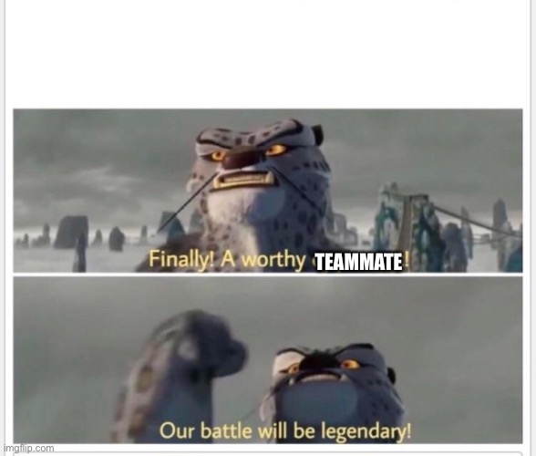 Finally! A worthy opponent! | TEAMMATE | image tagged in finally a worthy opponent | made w/ Imgflip meme maker