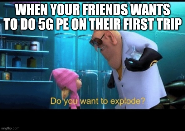 Do you want to explode | WHEN YOUR FRIENDS WANTS TO DO 5G PE ON THEIR FIRST TRIP | image tagged in do you want to explode | made w/ Imgflip meme maker