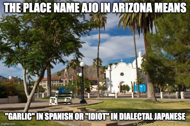Ajo, Arizona | THE PLACE NAME AJO IN ARIZONA MEANS; "GARLIC" IN SPANISH OR "IDIOT" IN DIALECTAL JAPANESE | image tagged in town,memes | made w/ Imgflip meme maker
