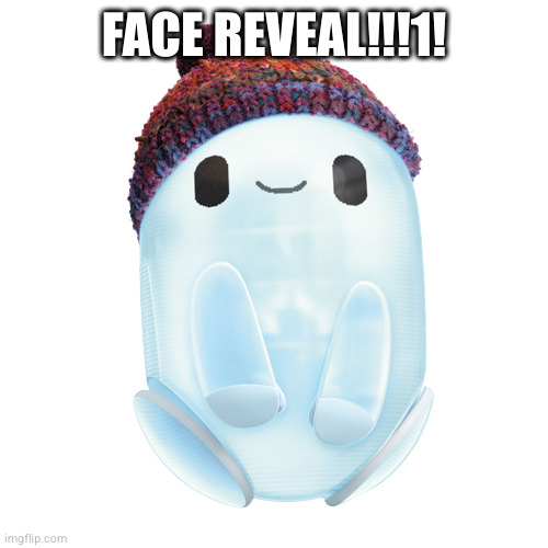 FACE REVEAL!!!1! | made w/ Imgflip meme maker