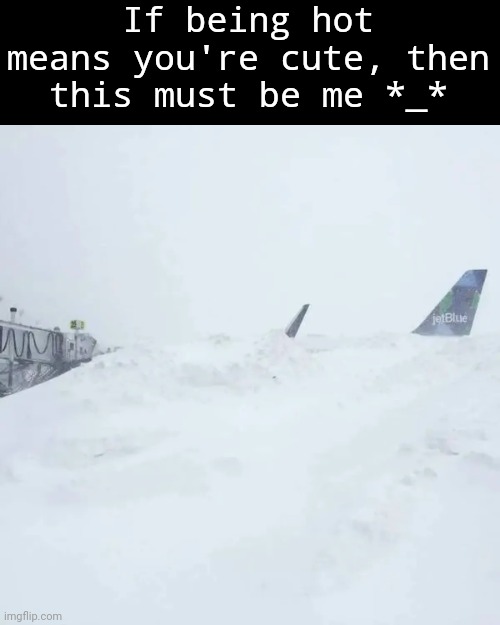 True | If being hot means you're cute, then this must be me *_* | image tagged in airplane covered in snow,memes,hot,cold | made w/ Imgflip meme maker