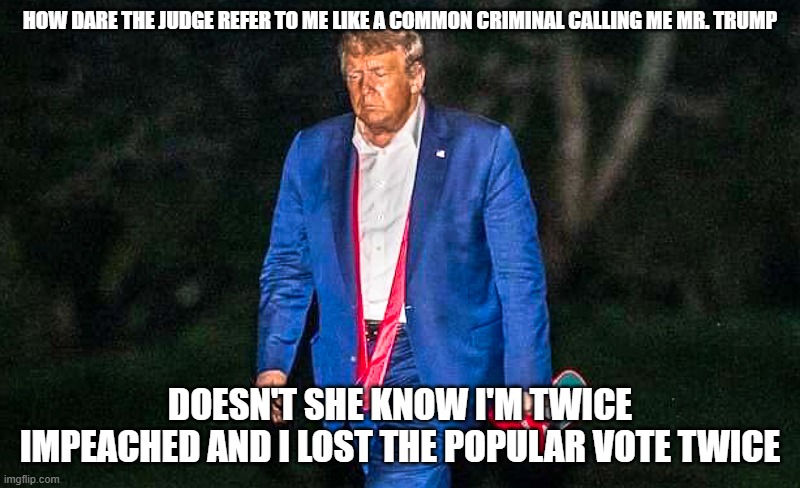 Defeated Trump Meme | HOW DARE THE JUDGE REFER TO ME LIKE A COMMON CRIMINAL CALLING ME MR. TRUMP; DOESN'T SHE KNOW I'M TWICE IMPEACHED AND I LOST THE POPULAR VOTE TWICE | image tagged in defeated trump meme | made w/ Imgflip meme maker