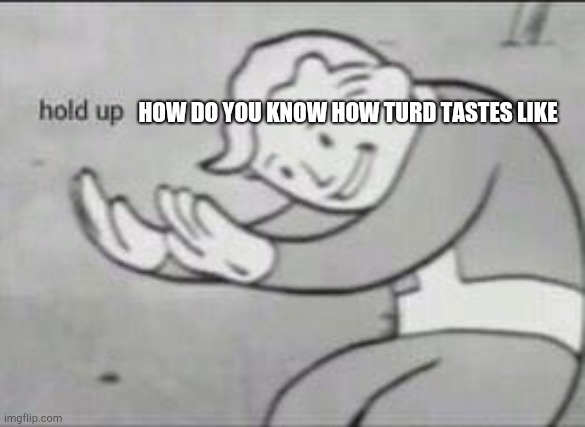 Fallout Hold Up | HOW DO YOU KNOW HOW TURD TASTES LIKE | image tagged in fallout hold up | made w/ Imgflip meme maker