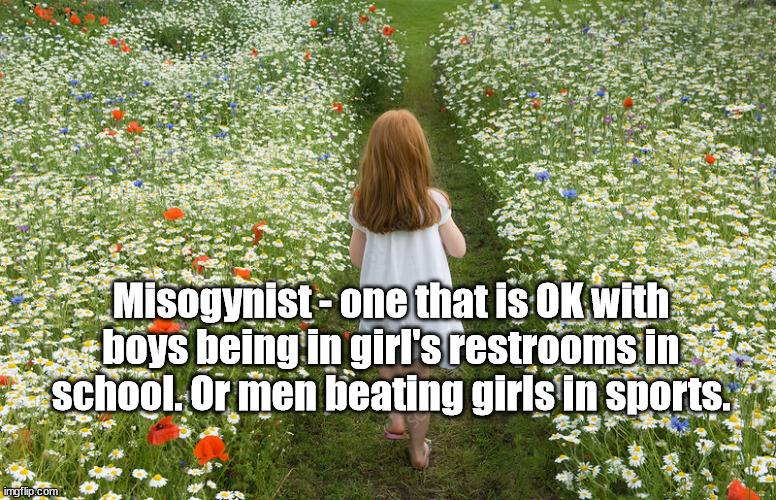 Misogynist defined | Misogynist - one that is OK with boys being in girl's restrooms in school. Or men beating girls in sports. | image tagged in school,girls | made w/ Imgflip meme maker