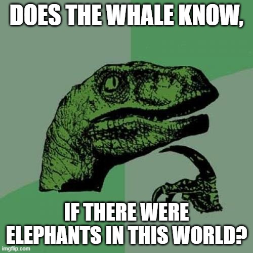 unanswered mysteries | DOES THE WHALE KNOW, IF THERE WERE ELEPHANTS IN THIS WORLD? | image tagged in memes,philosoraptor | made w/ Imgflip meme maker