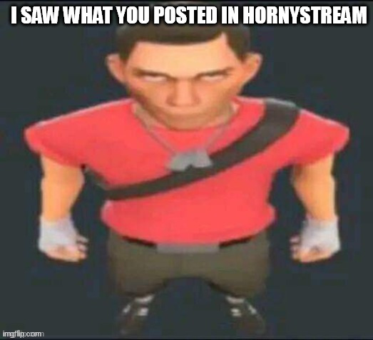 scout but I saved it so I don’t forget | I SAW WHAT YOU POSTED IN HORNYSTREAM | image tagged in scout but i saved it so i don t forget | made w/ Imgflip meme maker