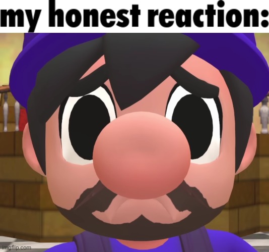 image tagged in my honest reaction,smg3 sad face | made w/ Imgflip meme maker