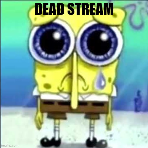 Sad Spongebob | DEAD STREAM | image tagged in sad spongebob | made w/ Imgflip meme maker