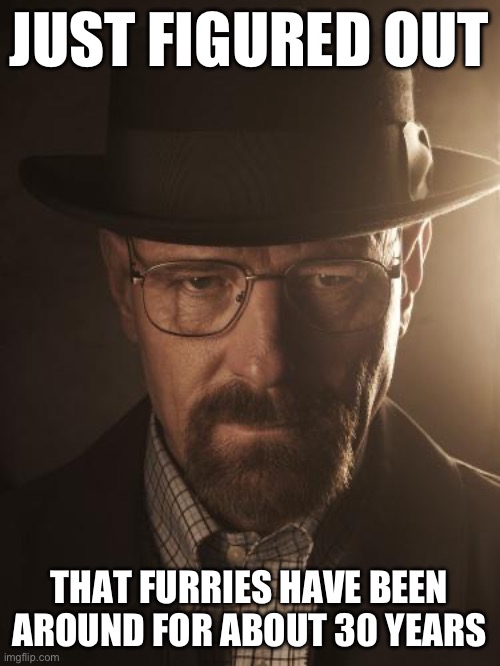 Walter White | JUST FIGURED OUT; THAT FURRIES HAVE BEEN AROUND FOR ABOUT 30 YEARS | image tagged in walter white | made w/ Imgflip meme maker
