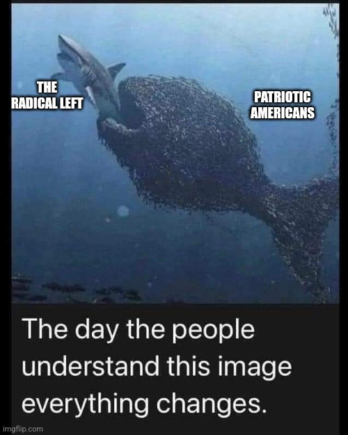 Facts | PATRIOTIC AMERICANS; THE RADICAL LEFT | image tagged in politics,radical,leftists,patriotic | made w/ Imgflip meme maker