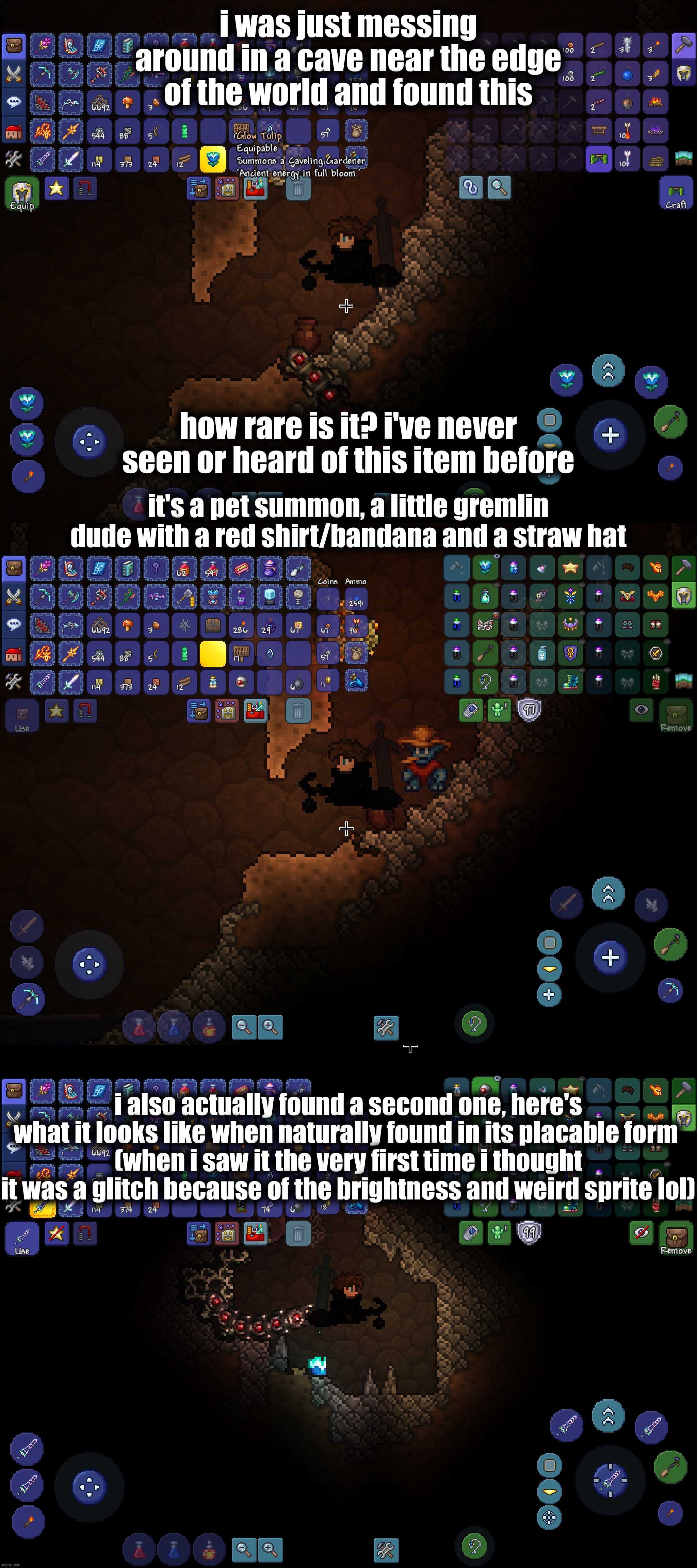 Get fixed boi - Terraria Wiki