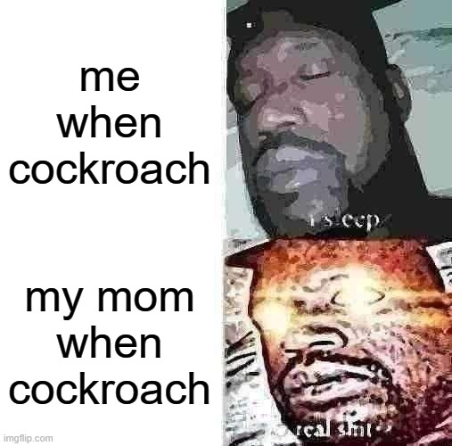 cockroach | me when cockroach; my mom when cockroach | image tagged in memes,sleeping shaq | made w/ Imgflip meme maker