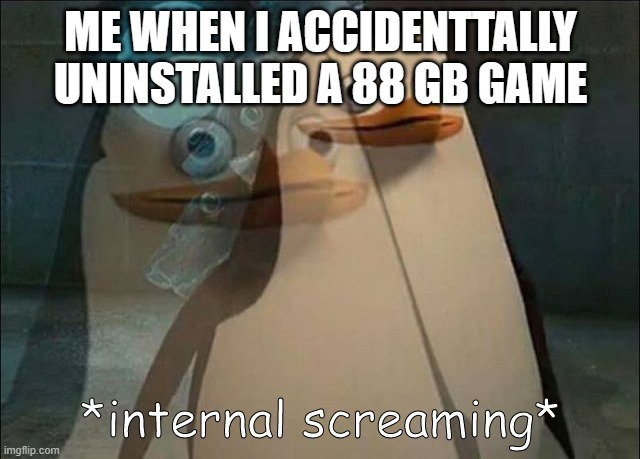 yes | ME WHEN I ACCIDENTTALLY UNINSTALLED A 88 GB GAME | image tagged in private internal screaming | made w/ Imgflip meme maker