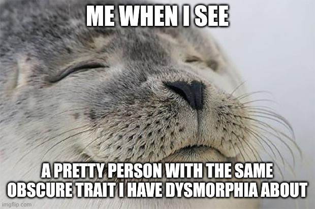 Love you | ME WHEN I SEE; A PRETTY PERSON WITH THE SAME OBSCURE TRAIT I HAVE DYSMORPHIA ABOUT | image tagged in memes,satisfied seal,bdd,mental illness | made w/ Imgflip meme maker