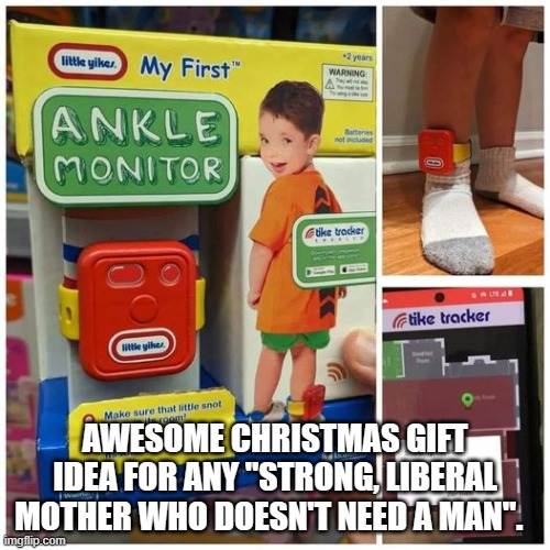Liberal | AWESOME CHRISTMAS GIFT IDEA FOR ANY "STRONG, LIBERAL MOTHER WHO DOESN'T NEED A MAN". | image tagged in liberal women,funny memes,single mother | made w/ Imgflip meme maker