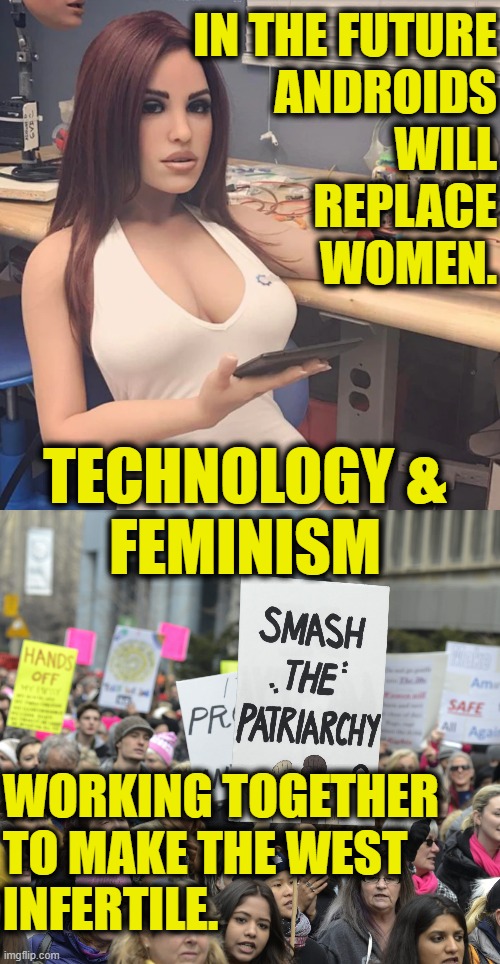 Zero Population Goal | IN THE FUTURE
ANDROIDS
WILL
REPLACE
WOMEN. TECHNOLOGY &
FEMINISM; WORKING TOGETHER 
TO MAKE THE WEST
INFERTILE. | image tagged in feminism | made w/ Imgflip meme maker