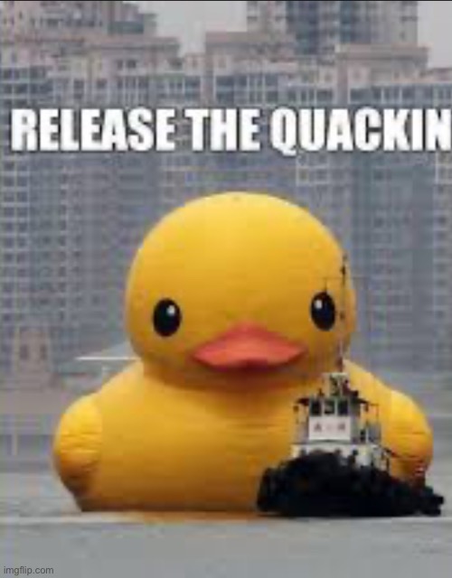 If the Kraken was a Duck… | image tagged in memes,duck,boat,release the kraken | made w/ Imgflip meme maker