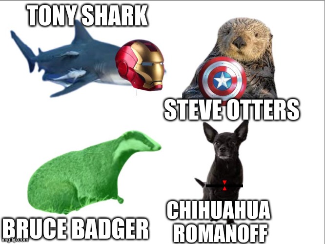The Avengers (Animal Version) | TONY SHARK; STEVE OTTERS; CHIHUAHUA 
ROMANOFF; BRUCE BADGER | image tagged in avengers | made w/ Imgflip meme maker