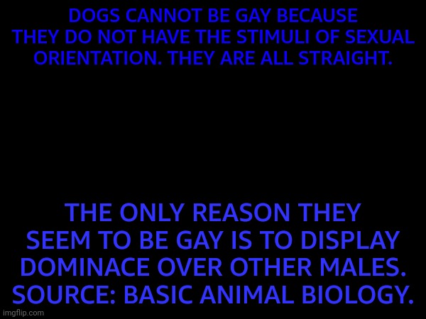 DOGS CANNOT BE GAY BECAUSE THEY DO NOT HAVE THE STIMULI OF SEXUAL ORIENTATION. THEY ARE ALL STRAIGHT. THE ONLY REASON THEY SEEM TO BE GAY IS TO DISPLAY DOMINACE OVER OTHER MALES. SOURCE: BASIC ANIMAL BIOLOGY. | made w/ Imgflip meme maker