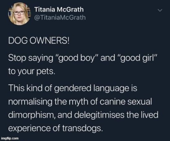 Transdogs ? | image tagged in woke | made w/ Imgflip meme maker