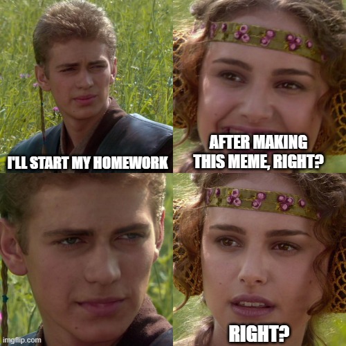 So you will do homework, right? | I'LL START MY HOMEWORK; AFTER MAKING THIS MEME, RIGHT? RIGHT? | image tagged in anakin padme 4 panel | made w/ Imgflip meme maker